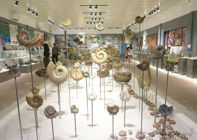 Fossils and the story about life