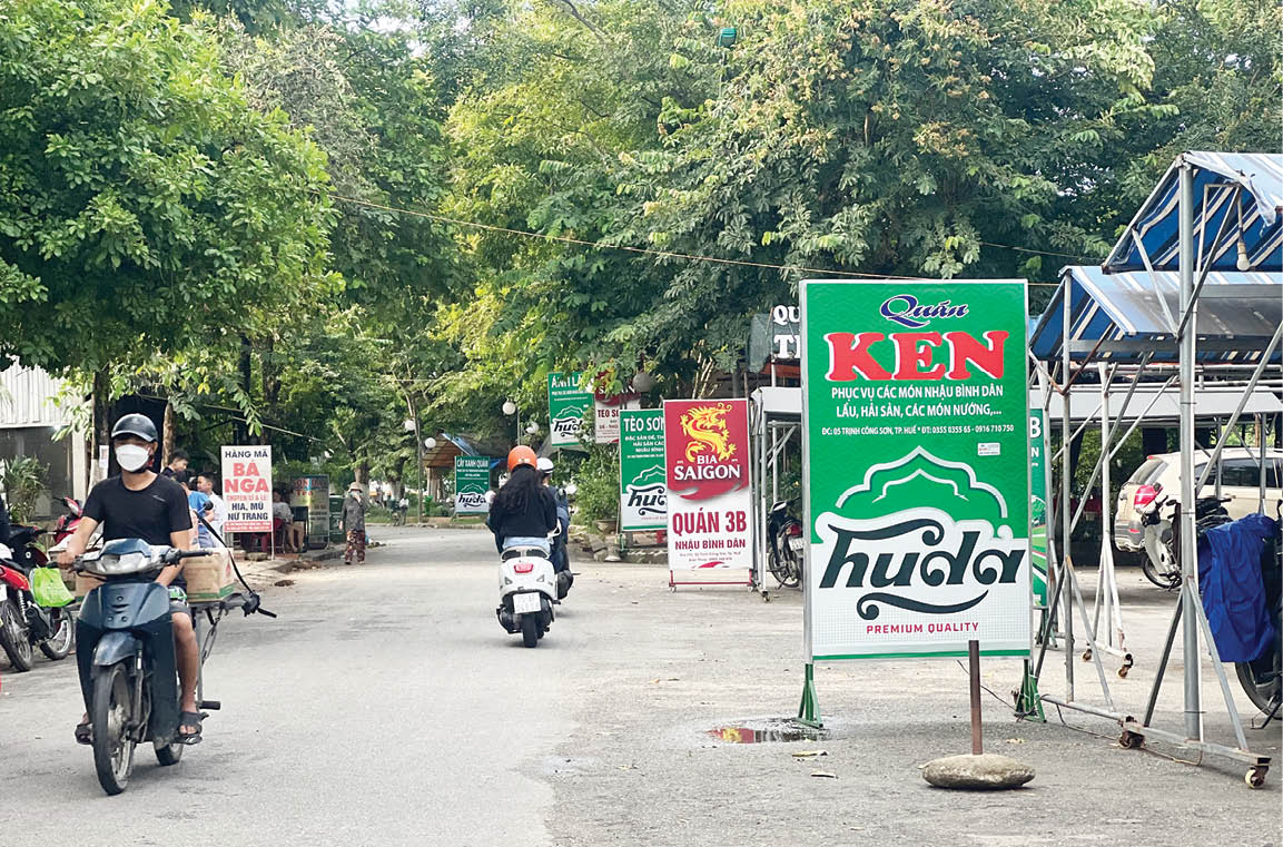 Đường Trịnh Công Sơn - những điều trông thấy