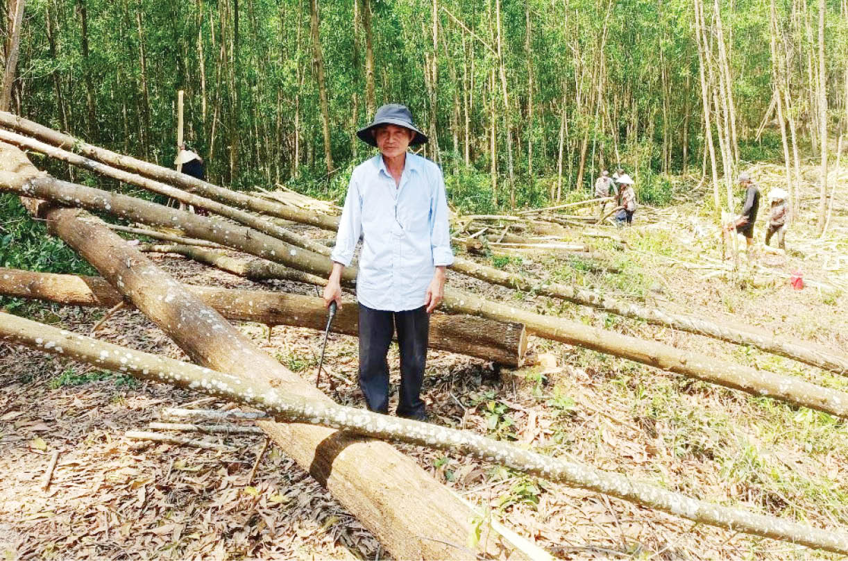 Cựu chiến binh giúp nhau làm kinh tế giỏi