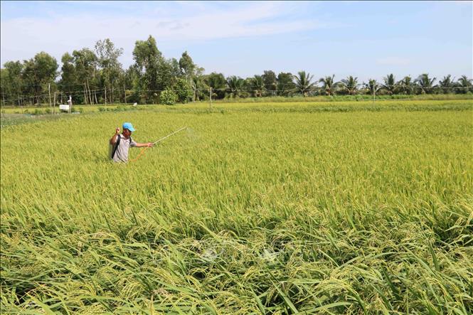 Mở rộng hạn mức nhận chuyển nhượng quyền sử dụng đất nông nghiệp
