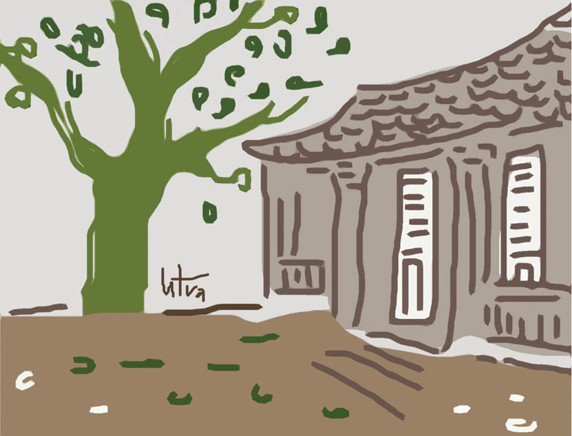 Mơ nằm nghe mưa trong căn nhà cổ