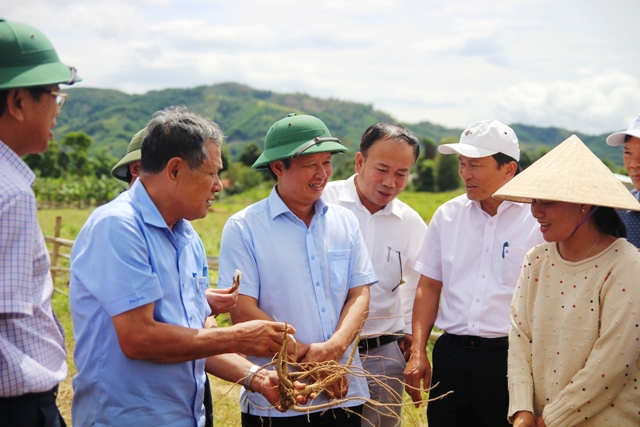 Không để A Lưới khó khăn và nghèo kéo dài