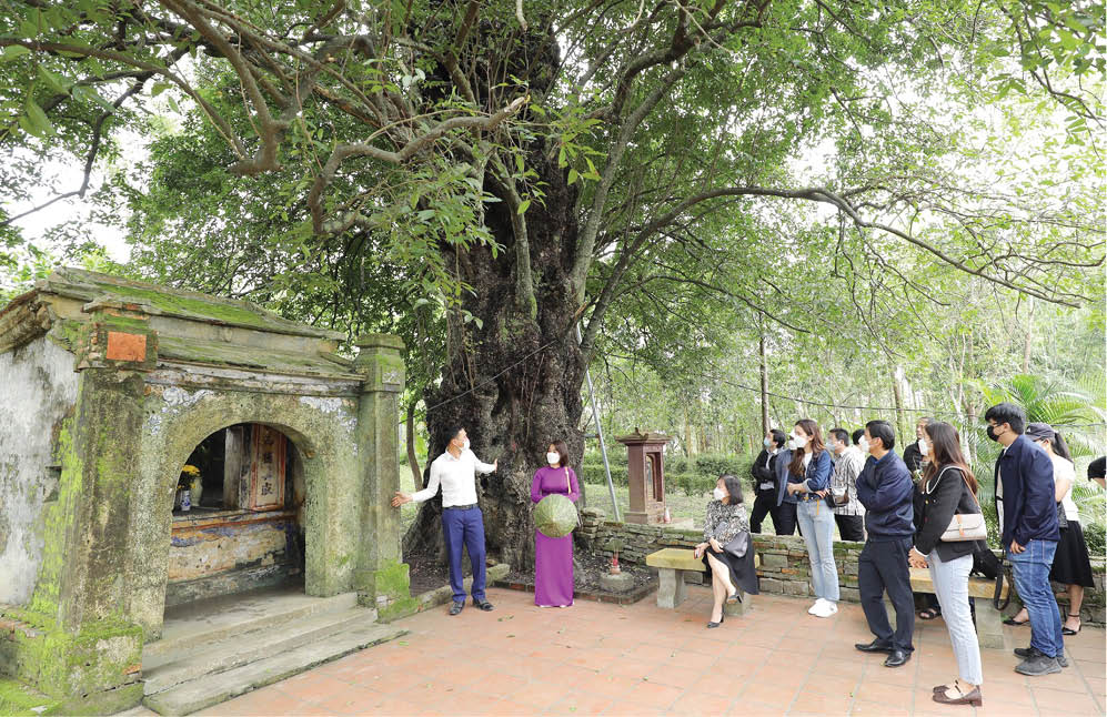 Môi trường văn hóa lành mạnh là cơ hội để phát triển du lịch