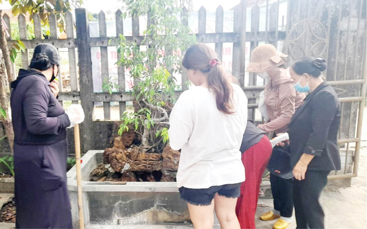 Phòng, chống sốt xuất huyết trong cộng đồng
