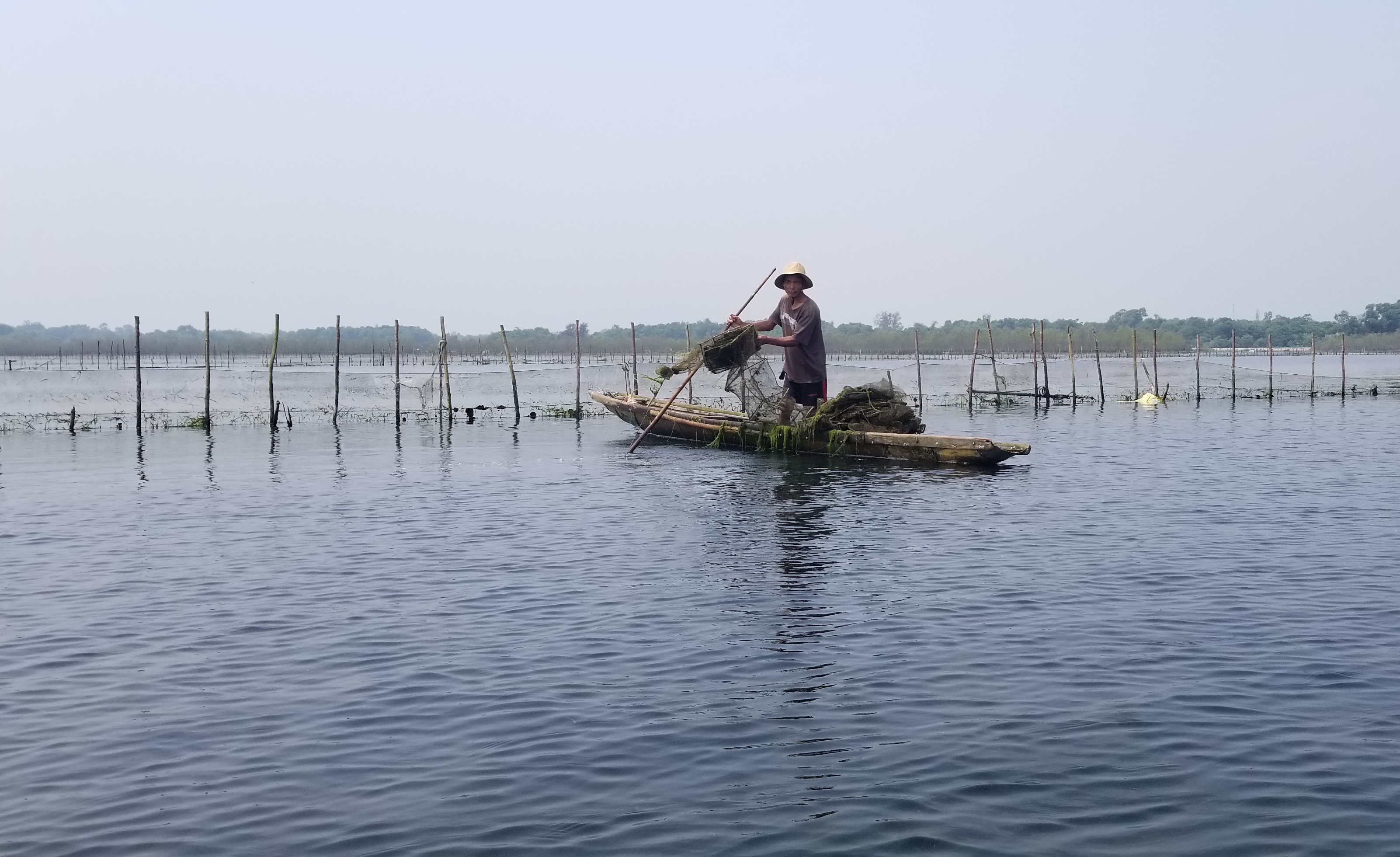 Ngăn chặn tình trạng khai thác có tính hủy diệt