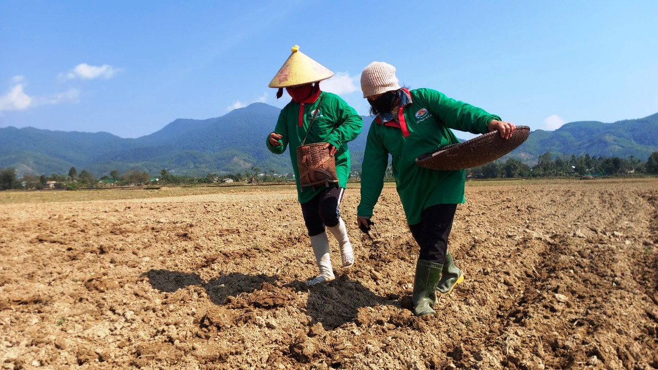 Triển khai lồng ghép hiệu quả 3 chương trình mục tiêu quốc gia