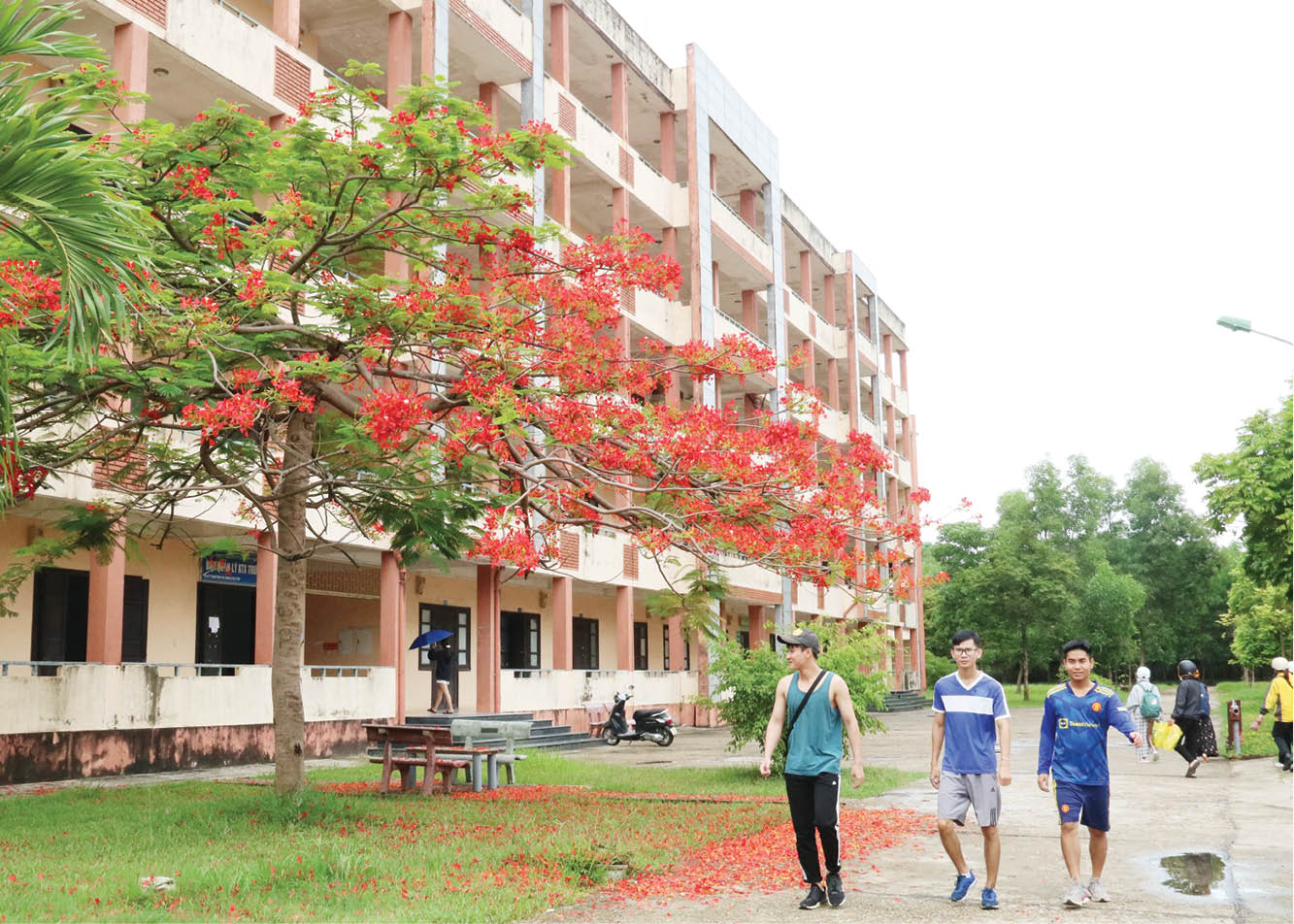 Nội trú cho sinh viên năm học mới