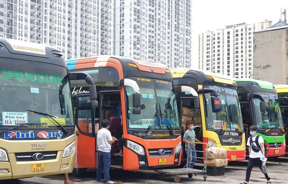 Nghiên cứu giảm giá vé cho người cao tuổi khi đi ôtô đường dài