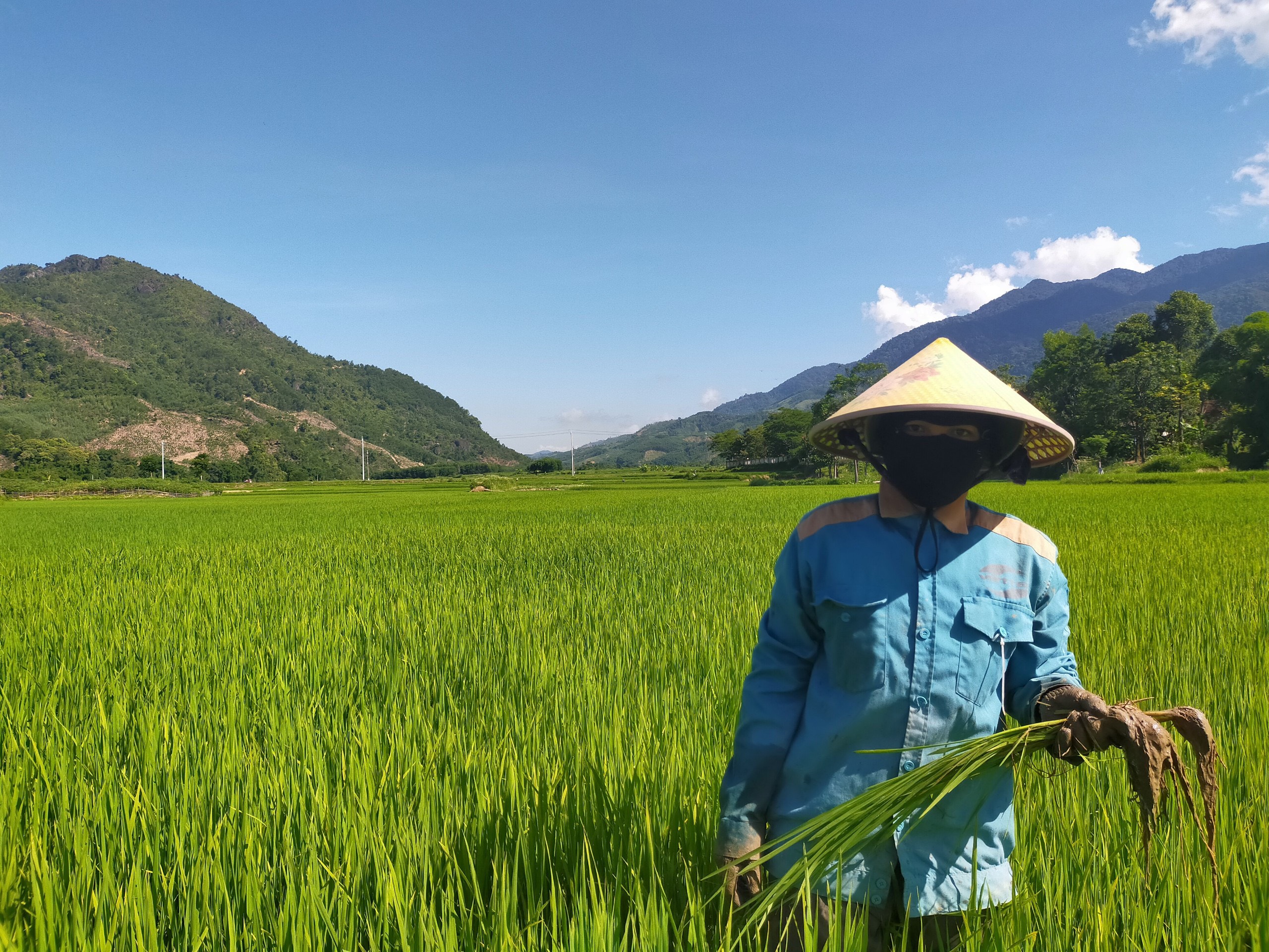 Chuyển đổi số trong sản xuất nông nghiệp và chuỗi giá trị nông sản