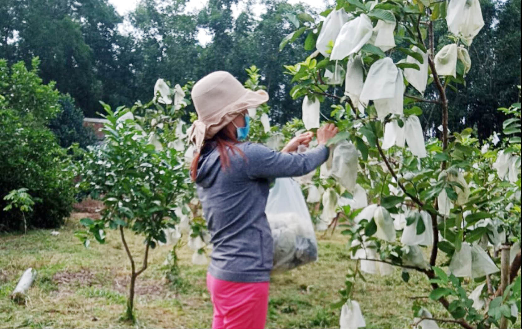 Giúp phụ nữ ven biển và đầm phá phát triển kinh tế