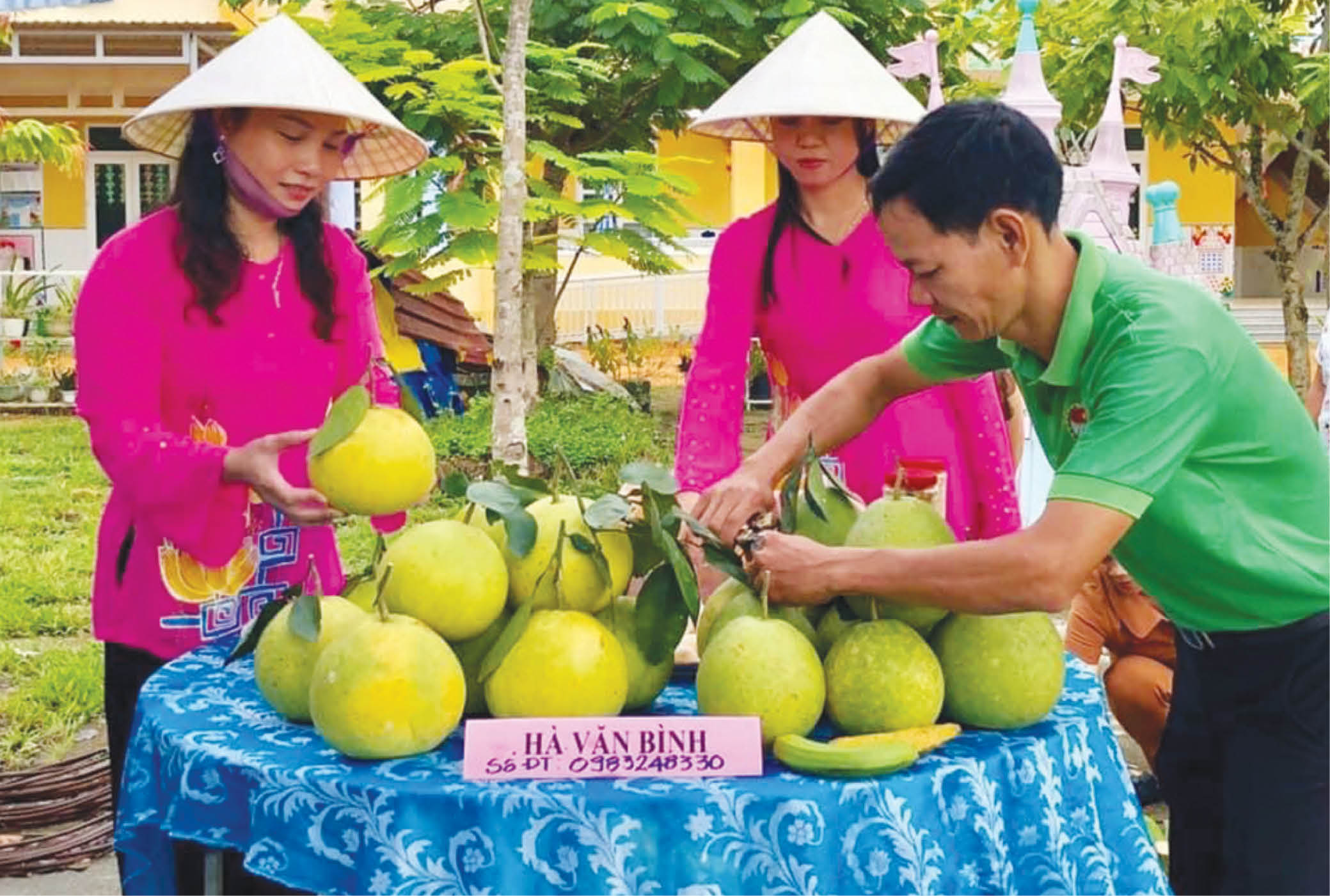 Nâng giá trị đặc sản thanh trà Huế