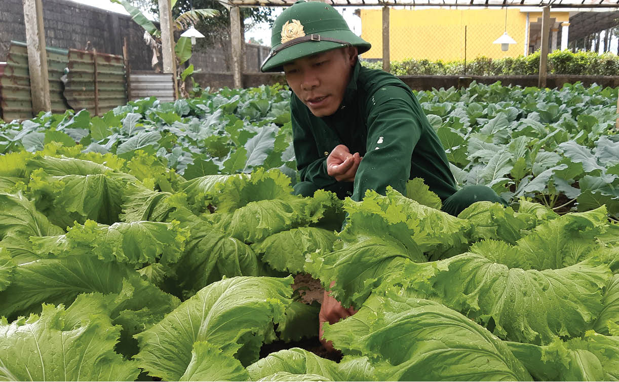 Những người chinh phục đất cằn