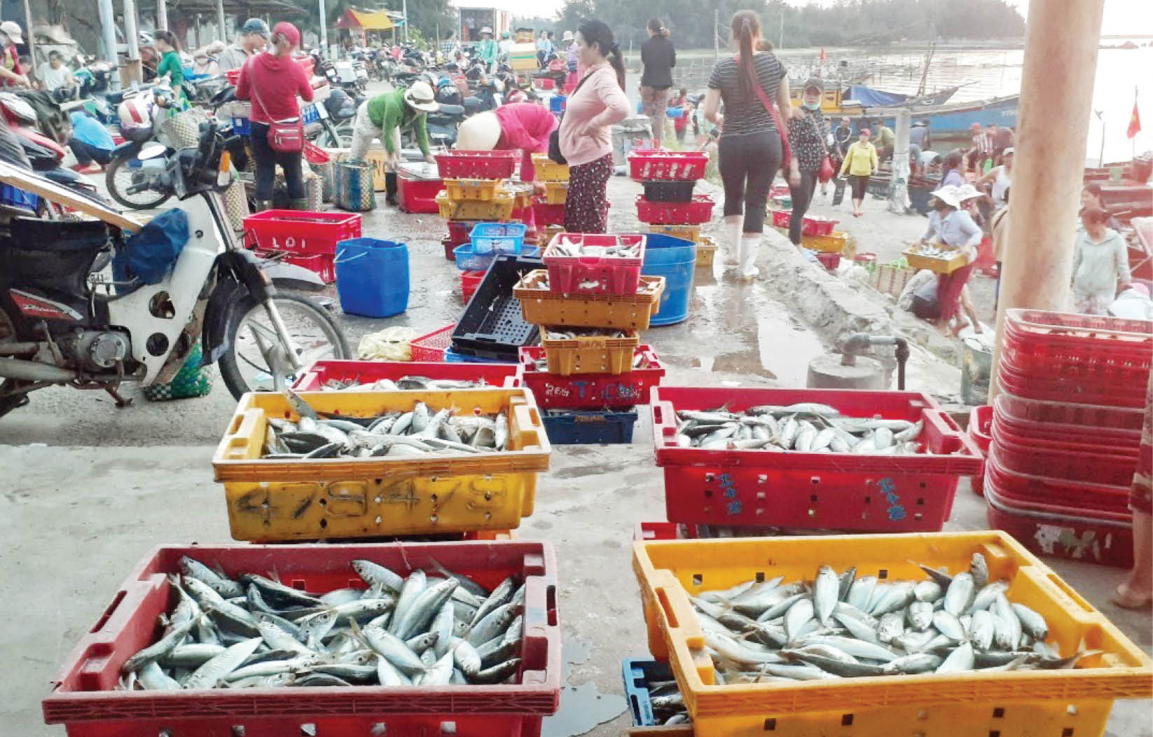 Vinh Thanh, vùng sôi động bên biển