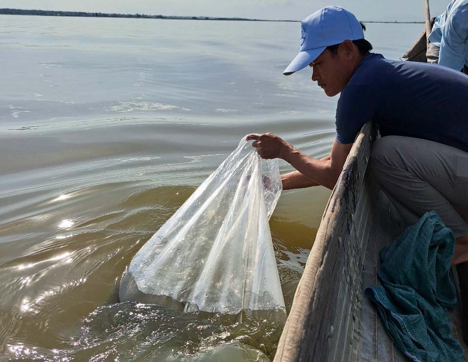 Thả 180 ngàn con tôm, 3 200 con cua xuống đầm phá