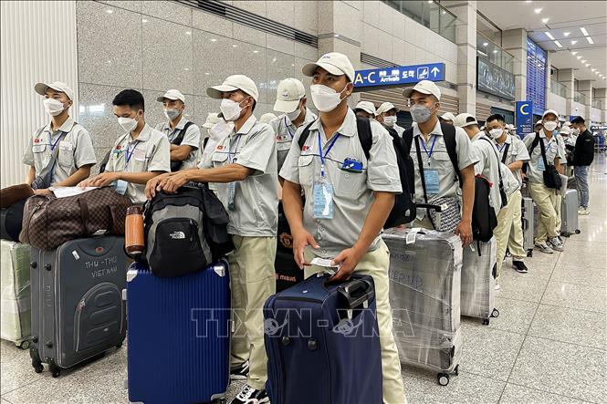 Những lưu ý không mắc bẫy “việc nhẹ, lương cao” khi đi lao động tại nước ngoài