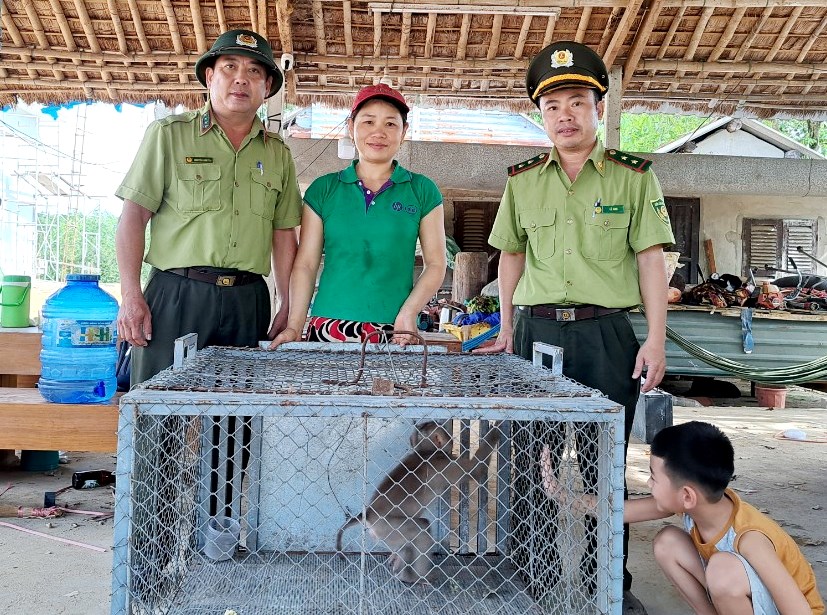 Tiếp nhận cá thể khỉ đuôi lợn