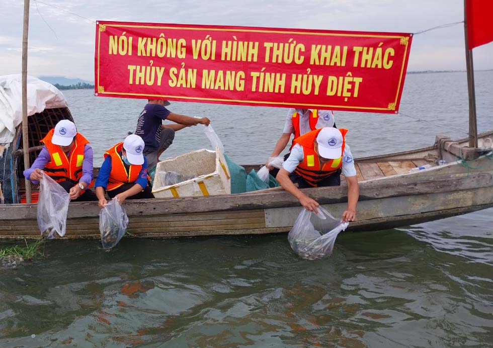 Thả 368 ngàn con cua, tôm giống trên đầm phá Tam Giang-Cầu Hai