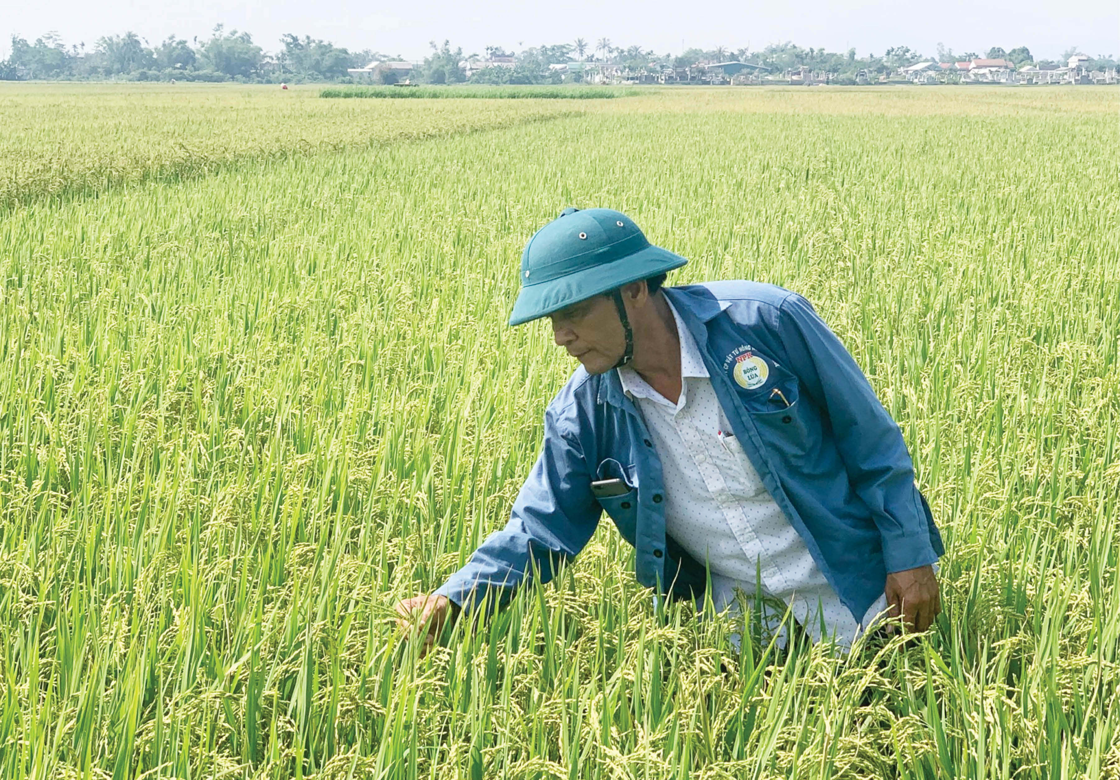 Xanh hóa doanh nghiệp