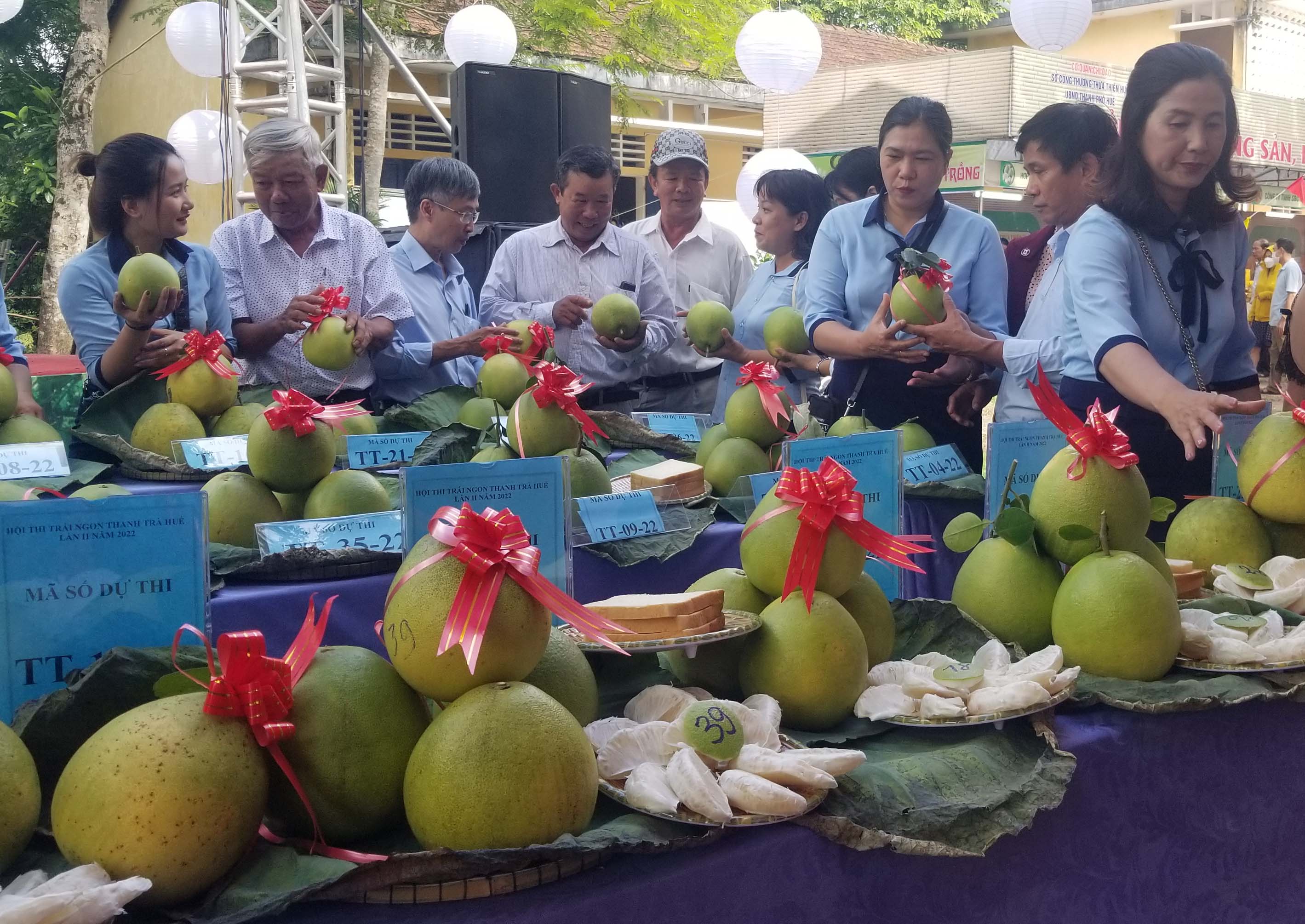 38 đội dự hội thi “Trái ngon thanh trà Huế” lần 2