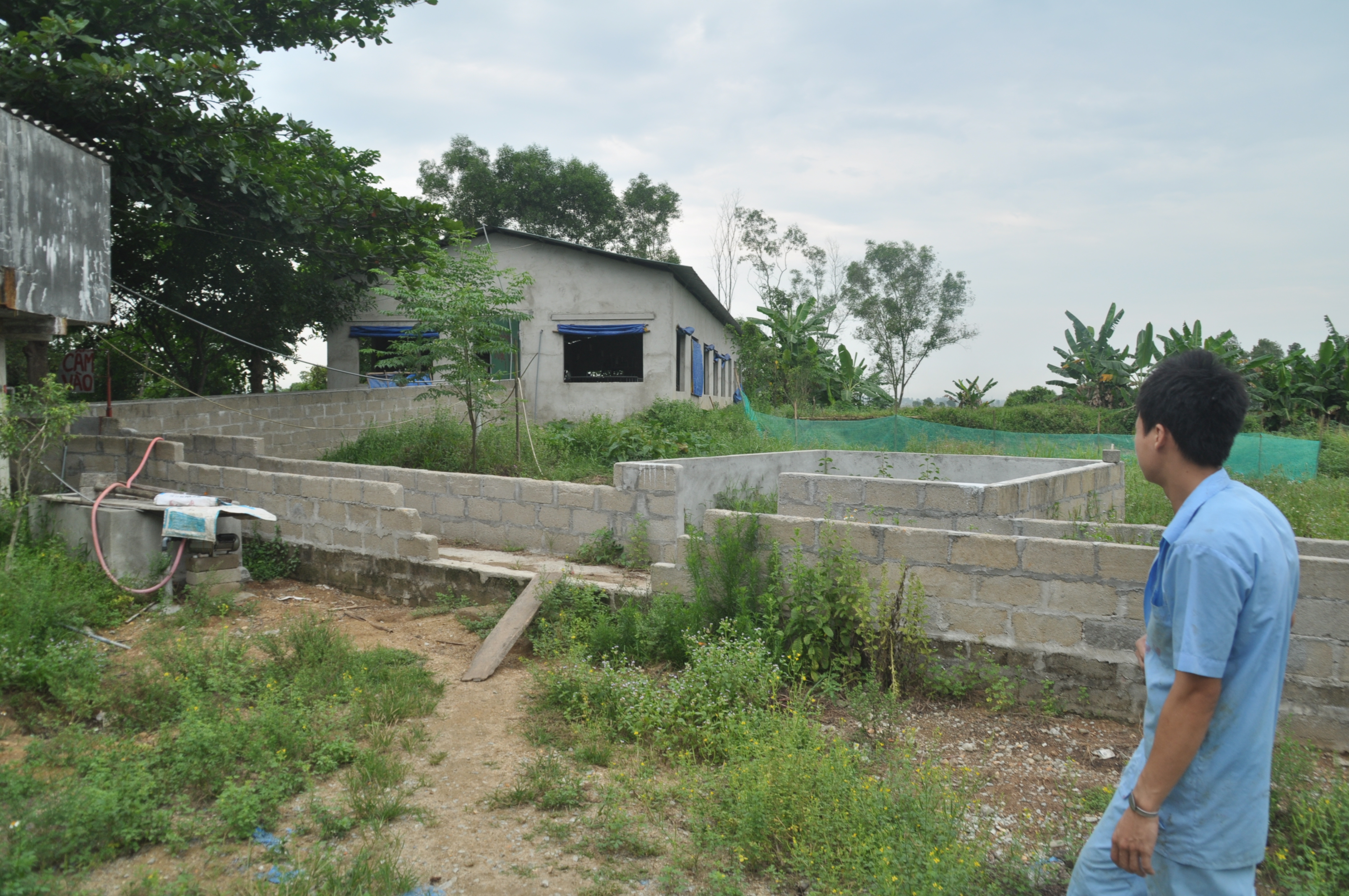 Phạt Công ty CP Đầu tư Agry gần 300 triệu đồng