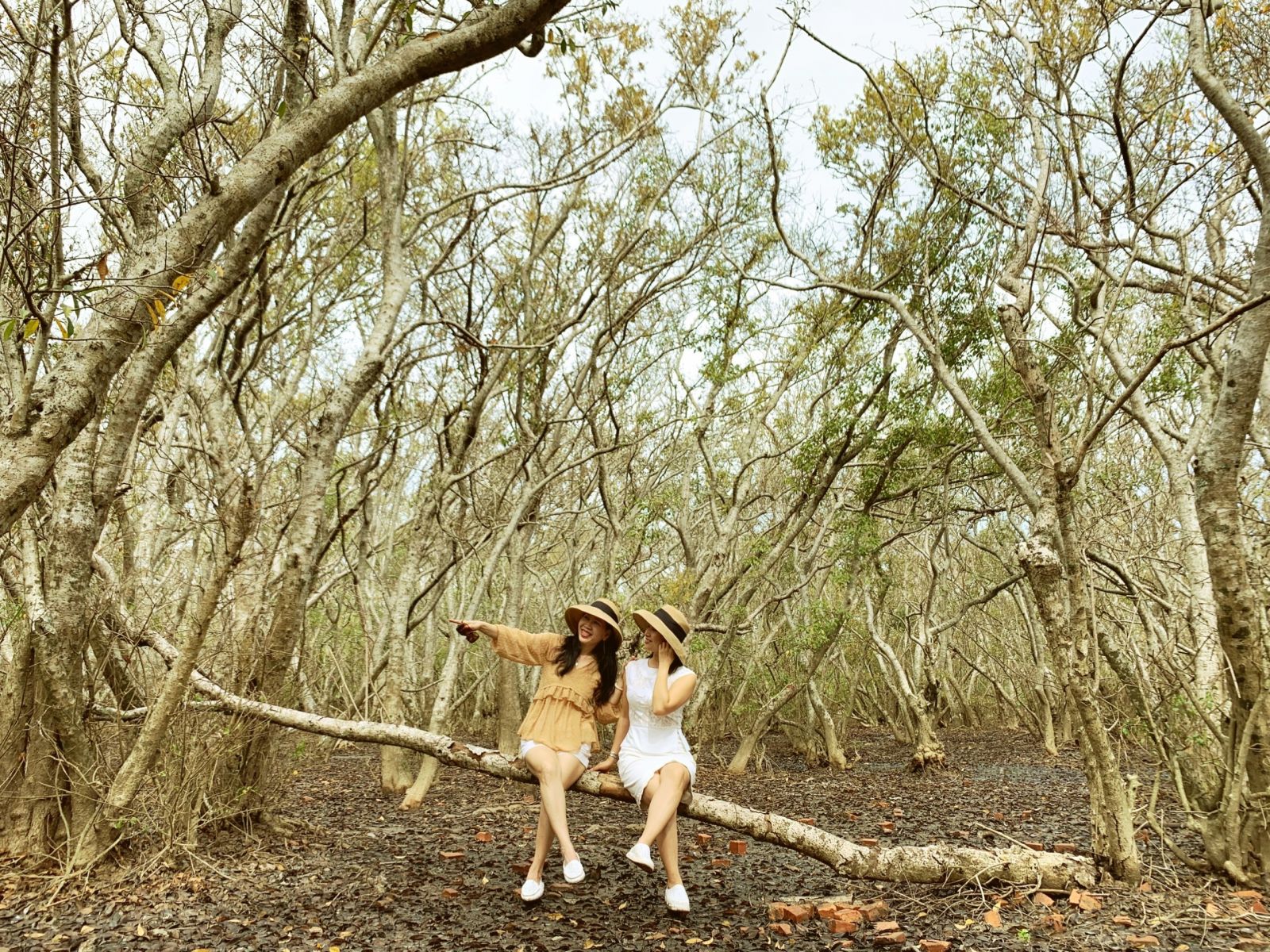 Cuộc thi ảnh nghệ thuật, video clip “Rú Chá, Cồn Tè - Sắc màu sông nước”