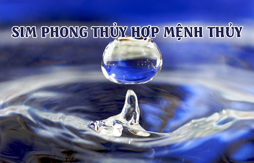 Cách chọn sim hợp mệnh Thủy chuẩn xác từ chuyên gia