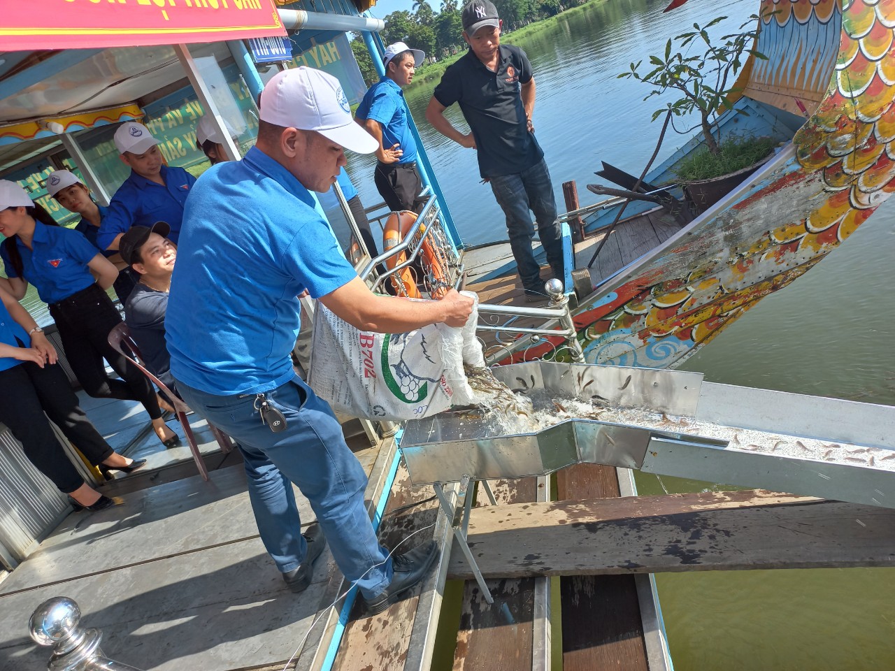 Thả 75 ngàn con cá giống xuống sông Hương