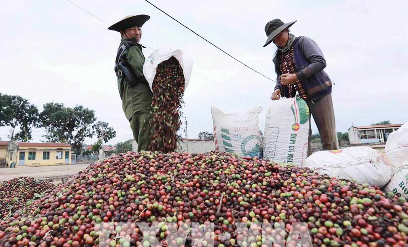 ASEAN trước vai trò quan trọng trong vấn đề an ninh lương thực