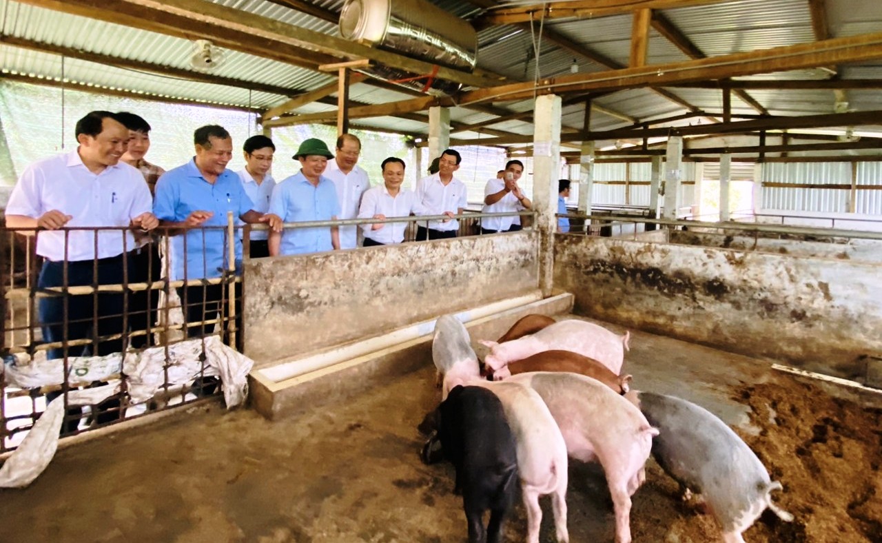 A Lưới phấn đấu giảm 1 430 hộ nghèo trong năm 2022