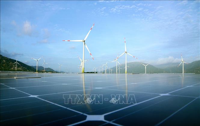 Chung tay bảo vệ sự sống trên trái đất