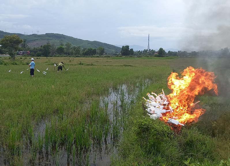 Tiêu hủy nhiều bẫy chim trời