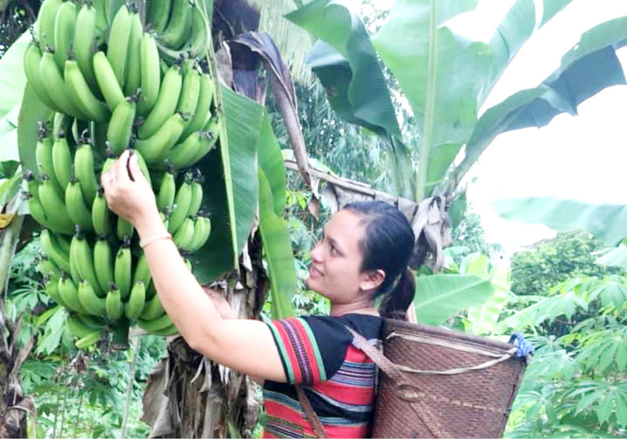 Khởi nghiệp từ gánh hàng rau