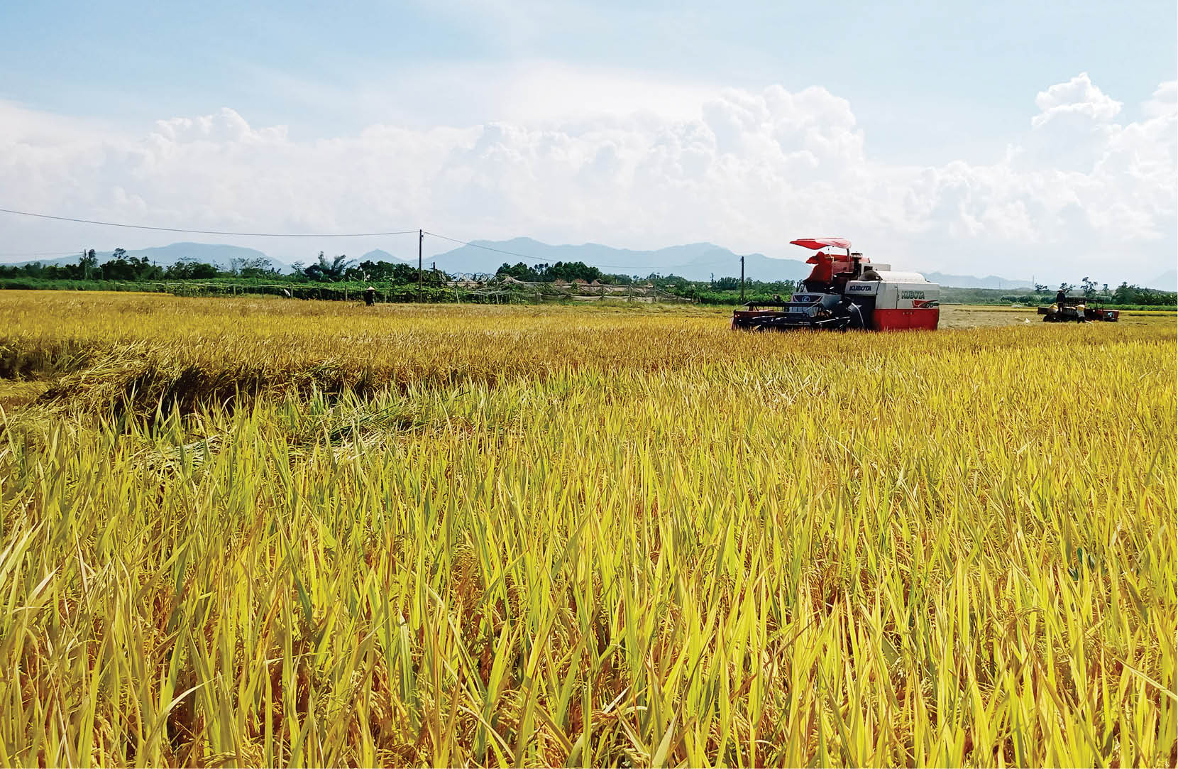 Nội lực xây dựng Phong Điền thành thị xã