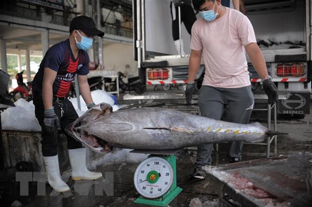 Nỗ lực ngăn chặn tàu cá vi phạm tại vùng biển nước ngoài