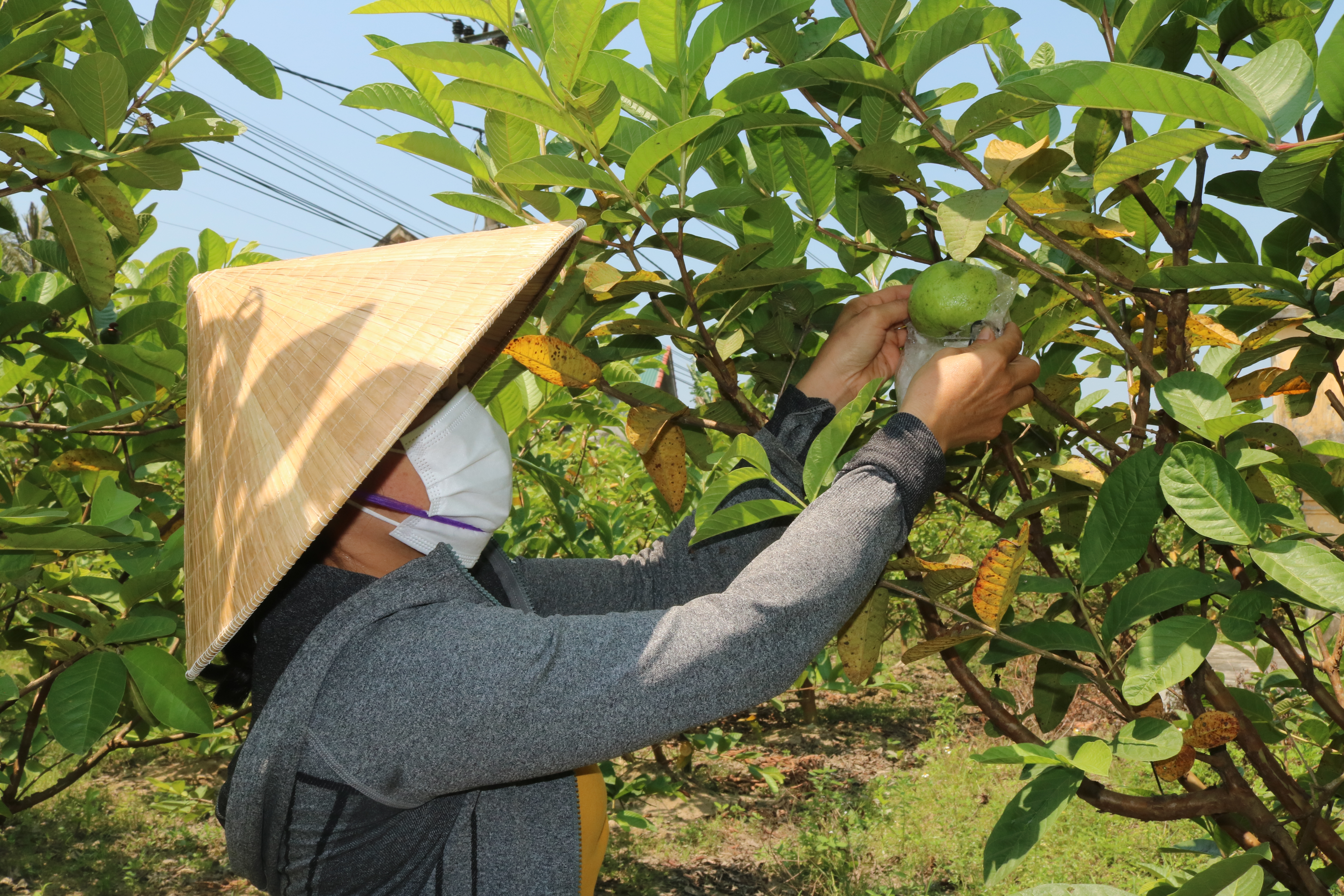 Để tín dụng chính sách là trụ đỡ giảm nghèo