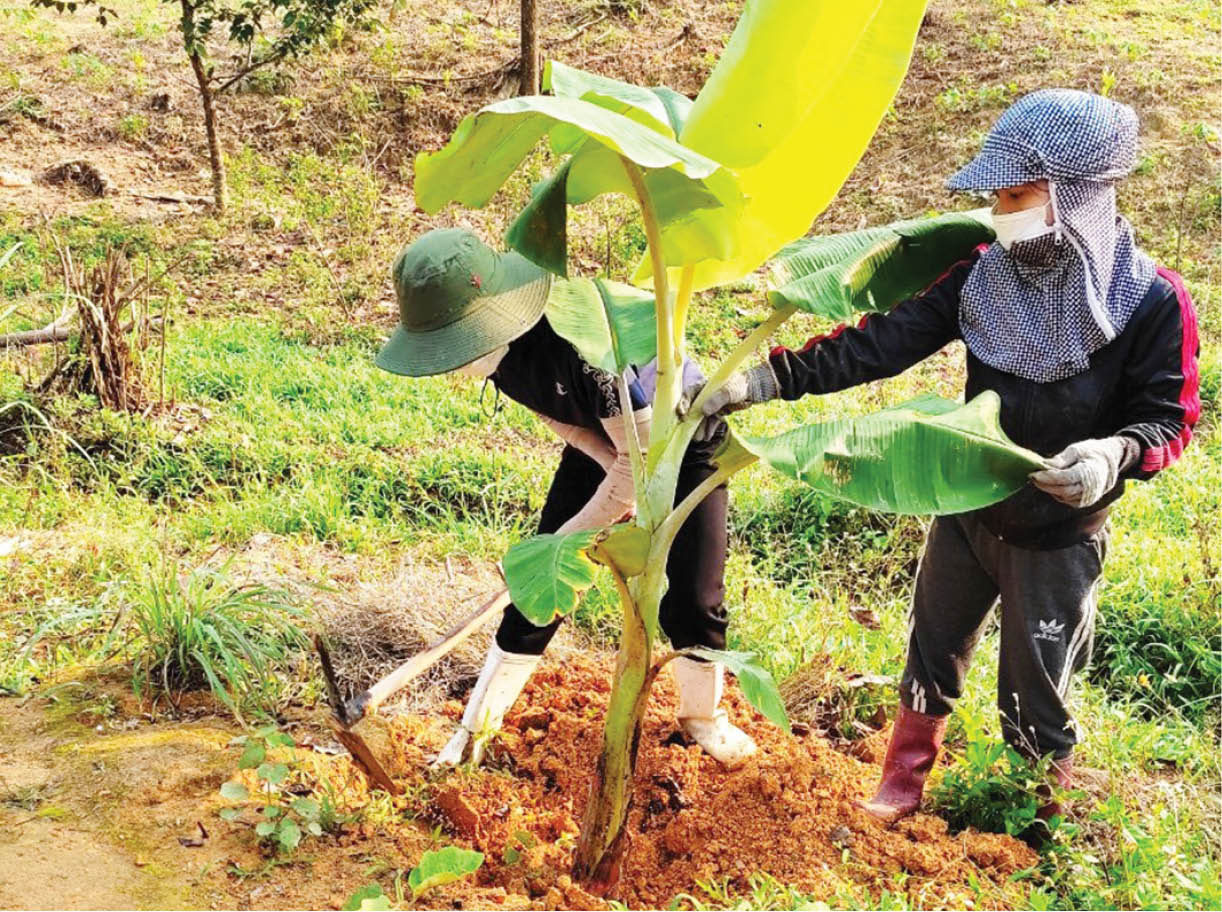 Giúp nhau ngày công