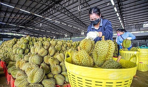 RCEP đặt nền tảng cho thương mại đôi bên cùng có lợi