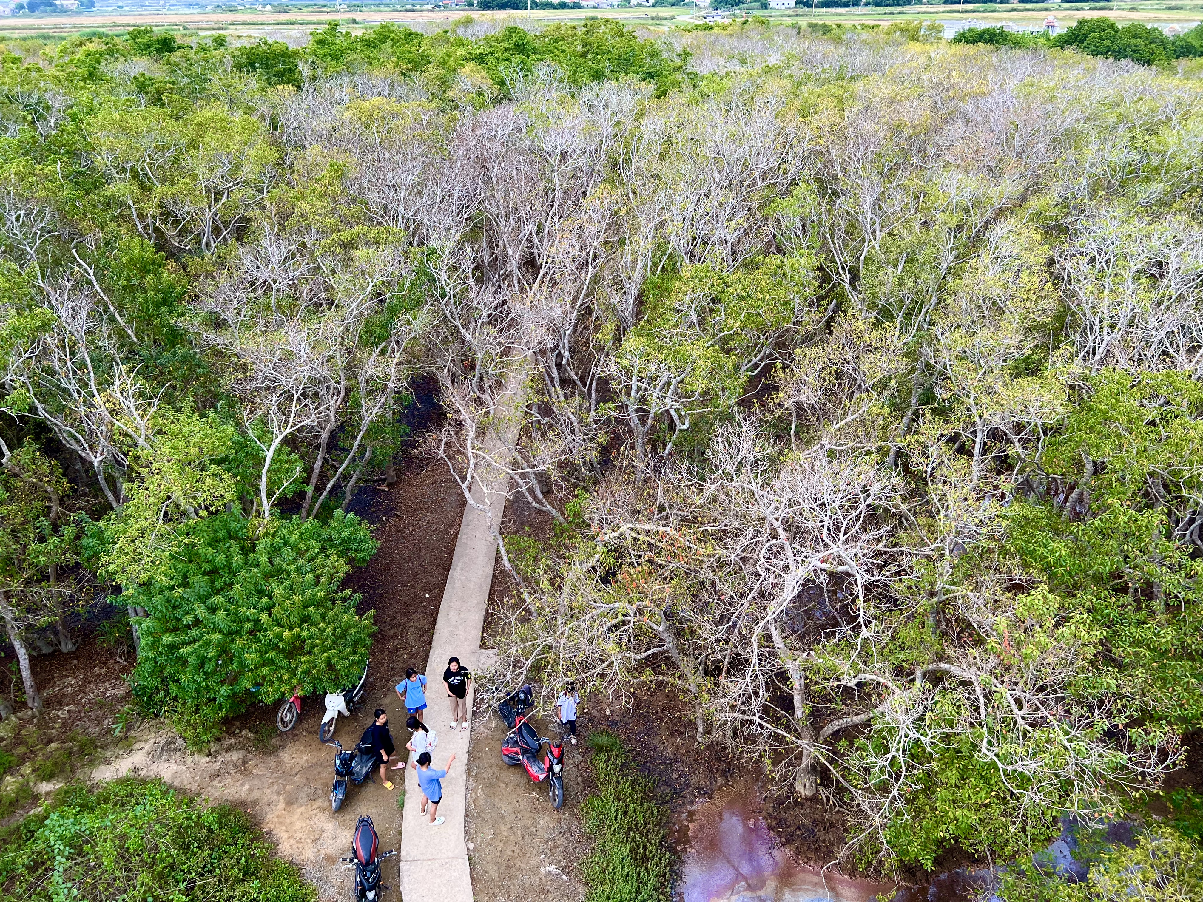 Gìn giữ và lan tỏa