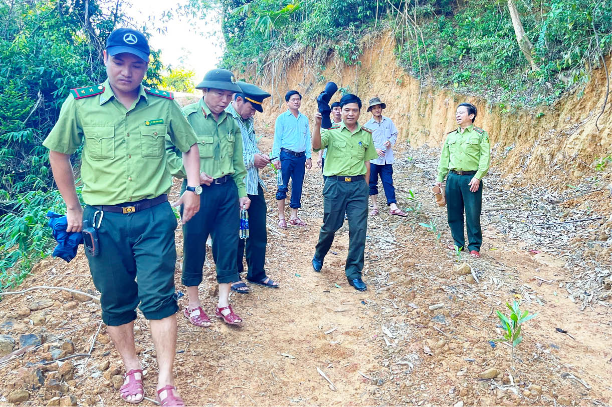 Mở đường lấn chiếm rừng phòng hộ trái phép