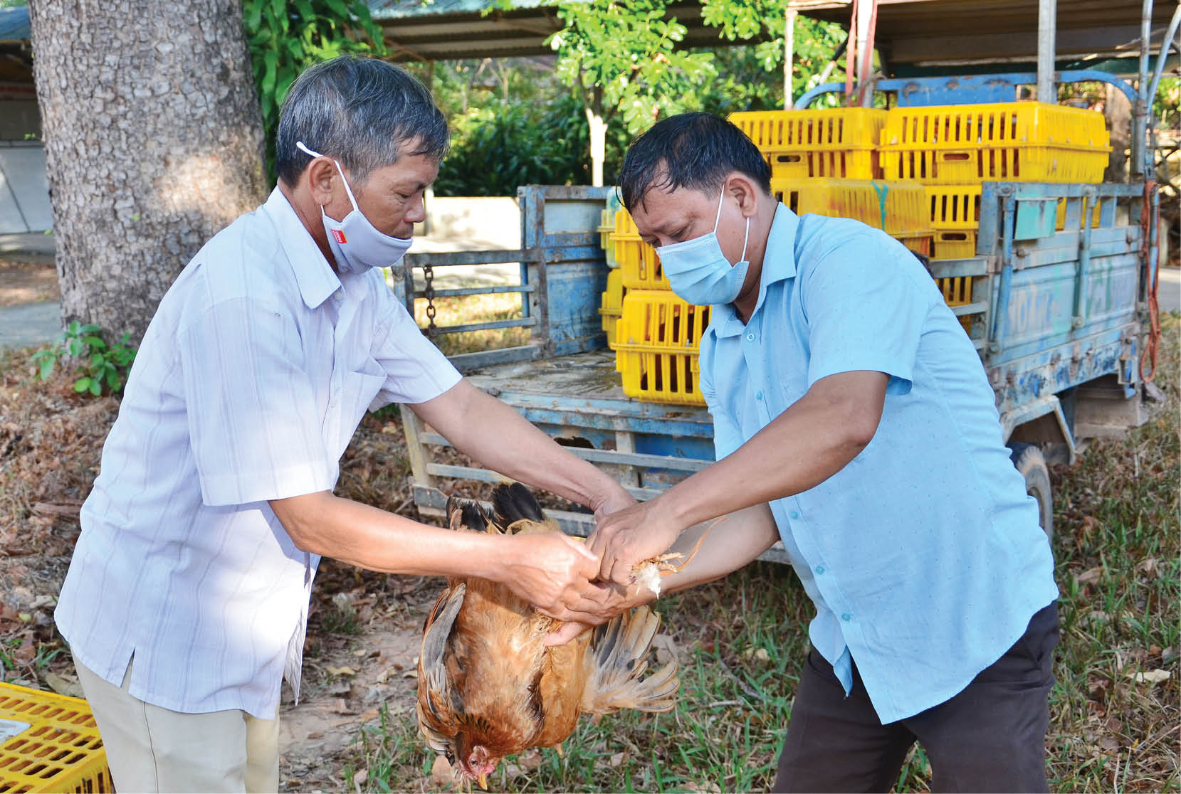 Năng động, sáng tạo