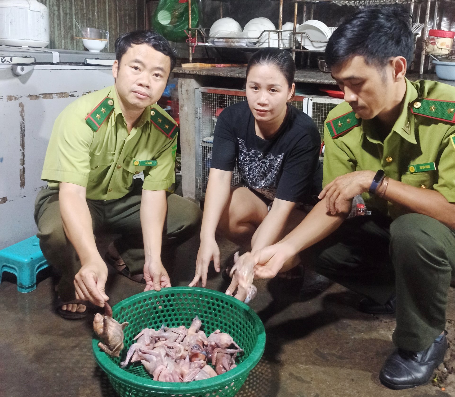 Hương Thủy Một quán ăn bị lập biên bản do tiêu thụ chim hoang dã