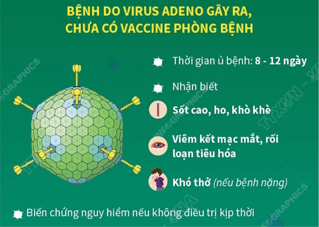 Cẩn trọng với vi-rut Adeno