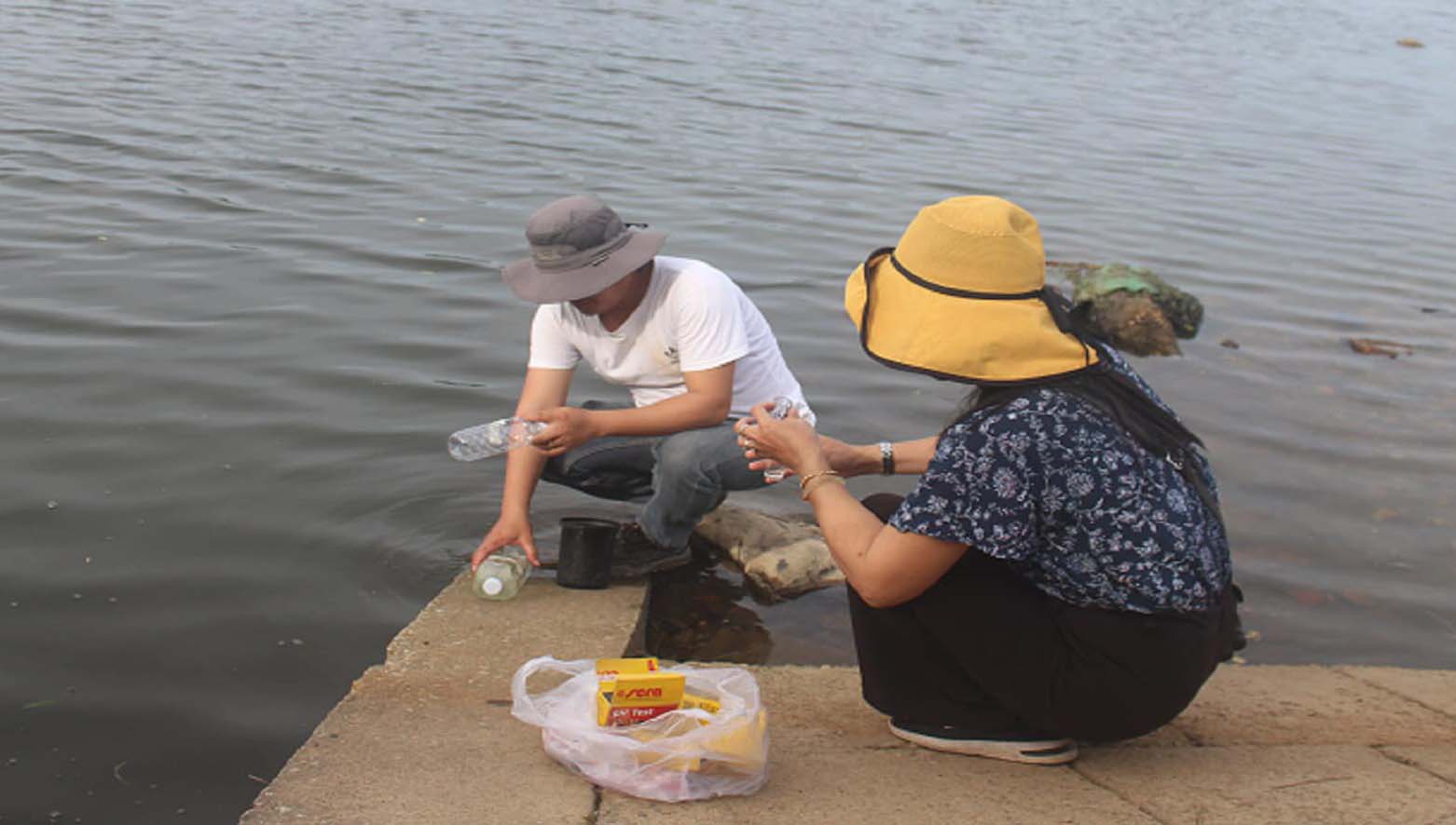 Cá dìa chết do thời tiết bất thường