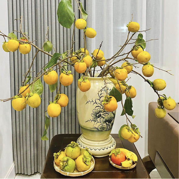 Mang “hơi thở” của mùa thu vào không gian sống