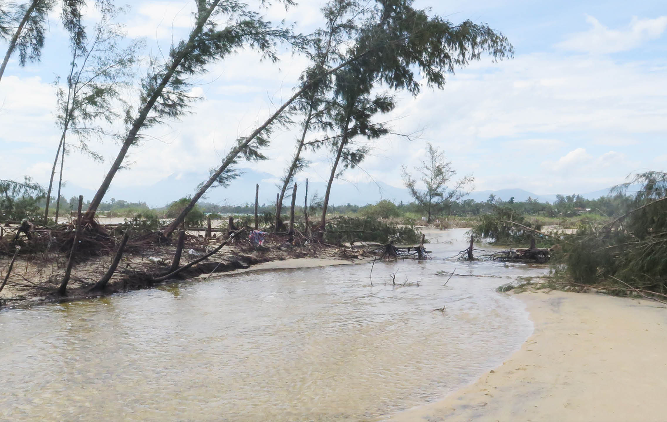 Tối ưu  bền vững