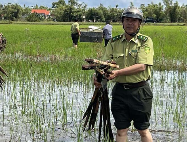Thu giữ nhiều bẫy chim trời mùa di trú