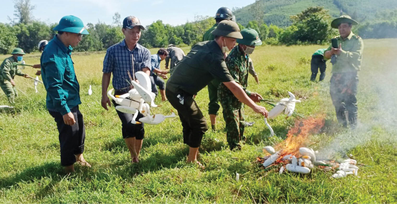 Bắt chim giả, cứu chim thật