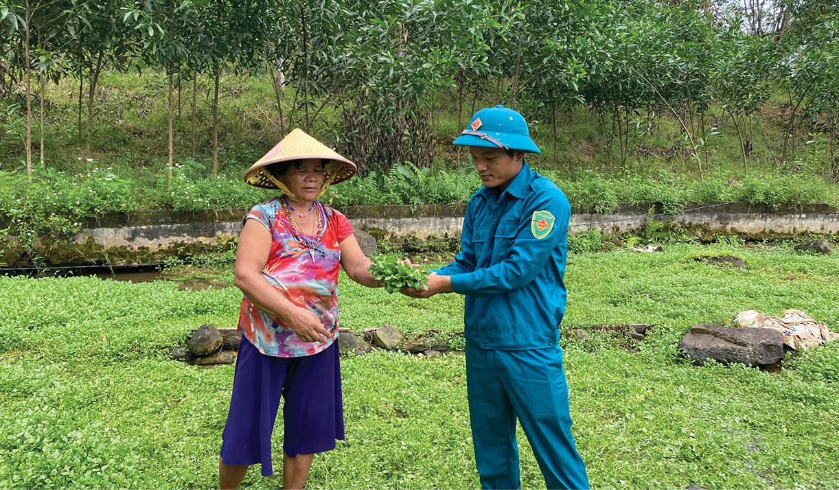 Phát triển xà lách xoong ở vùng cao