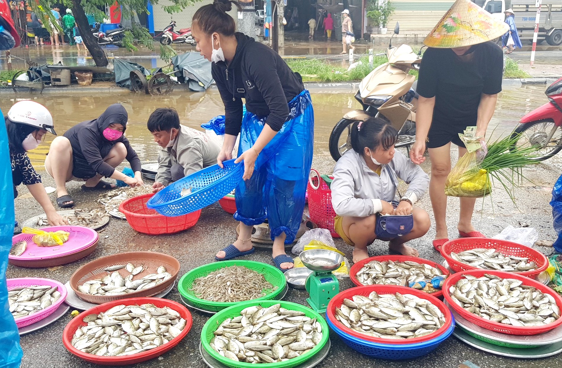 Giá rau, củ tăng 10-30 , các mặt hàng cá, thịt tăng nhẹ