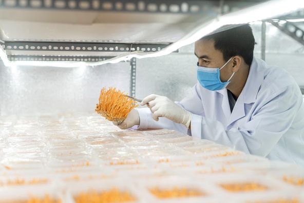 Hai gương mặt của Thừa Thiên Huế nhận Giải thưởng Lương Định Của